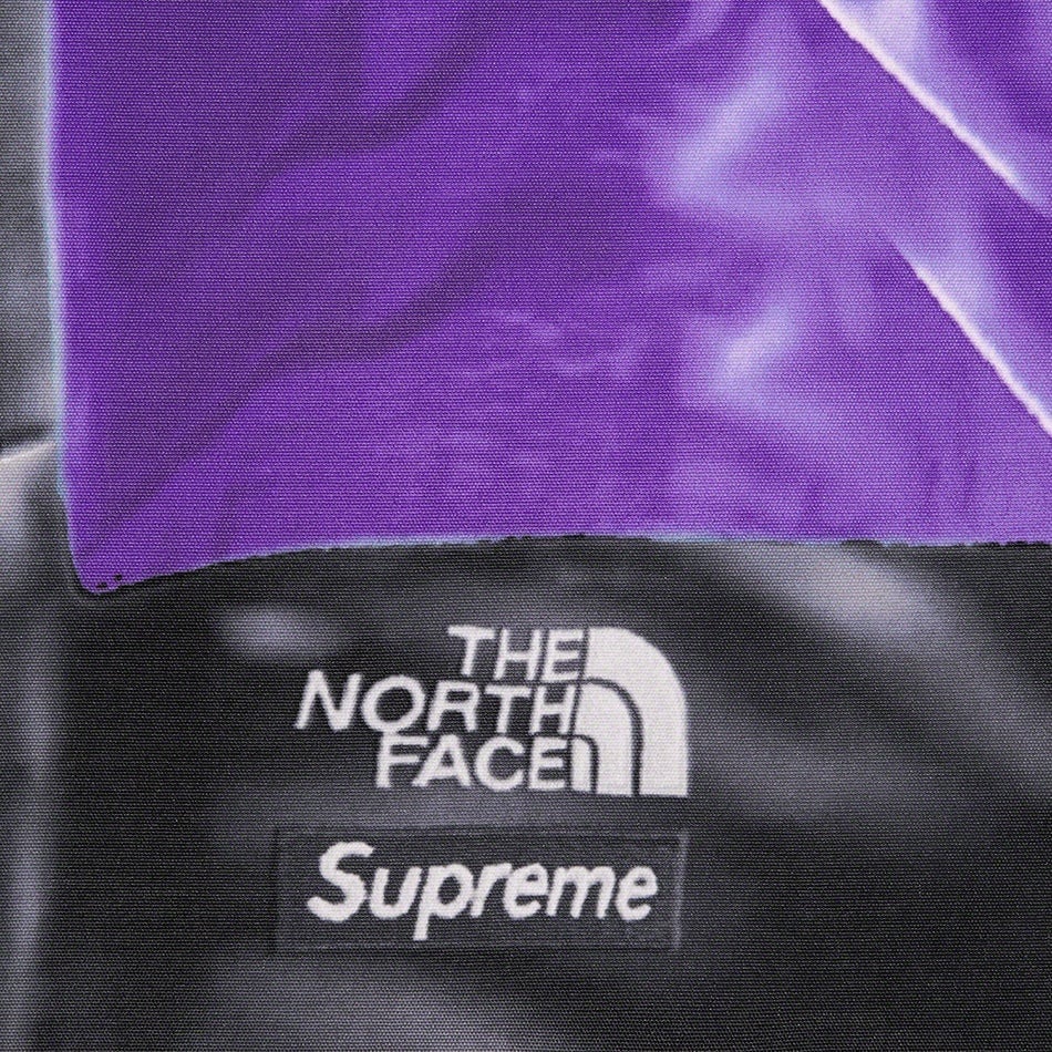 Supreme®/The North Face® Trompe L’oeil Printed Mountain Pant view 18